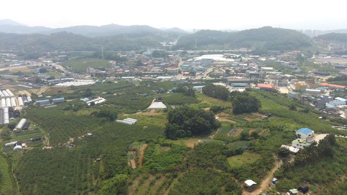 사노동 전경.