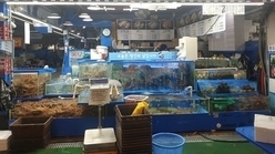 구리농수산물도매시장