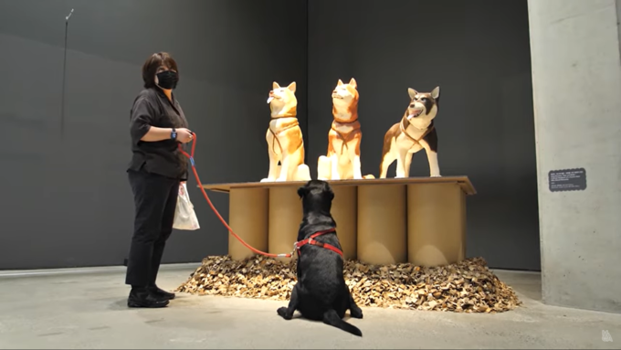 정연두 작가의 ‘토고와 발토-인류를 구한 영웅견 군상’ (사진= ‘모두를 위한 미술관, 개를 위한 미술관’ 영상 캡처)