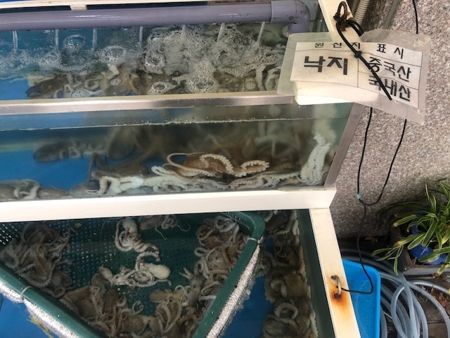 원산지 표시가 혼동이 되도록 표시되어 있다(사진=경기도 제공)