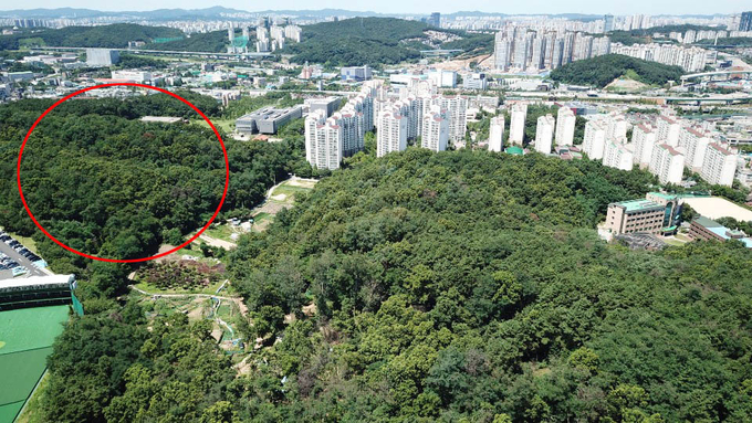 주거 지역 인근 산지에 모 회사 산단이 들어오려 했으나 주민들의 반대로 무산됐다. (사진=최병성 제공)