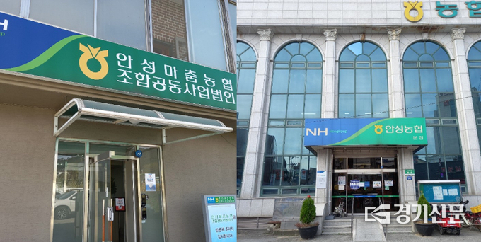 최근 안성농협이 부당인사와 함께 직장 내 갑질논란에 휩싸였다. /노성우 기자