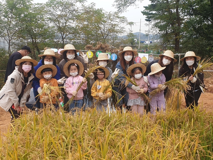 16일 오전 화성시 매송면 야목리 생태 논 학습장에서 가을 걷이 추수 체험을 하러 나온 시립어린이집 아이들이 벼 베기 체험을 마친 뒤 선생님들과 기념촬영을 하고 있다. (사진=화성시 제공)