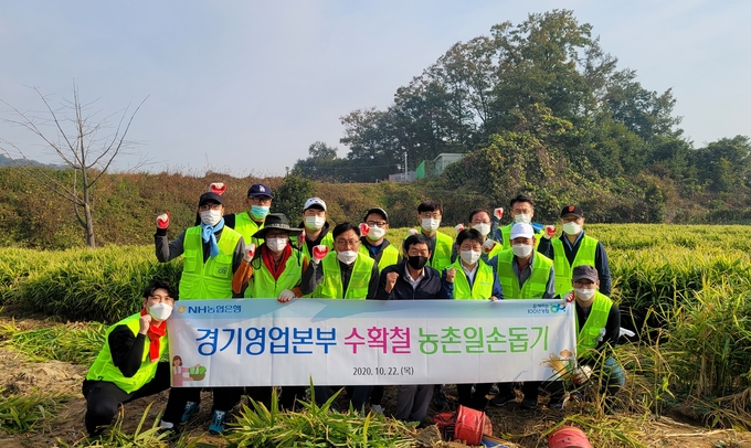 NH농협은행 경기영업본부 임직원들이 22일 안성시 생강 재배 농가를 찾아 봉사활동을 실시하고 기념촬영을 하고 있다. (사진=NH농협은행 경기영업본부)