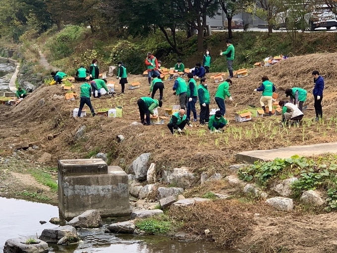 남양주 새마을지도자협의회가 2020년 경기도 지방보조금 지원사업으로 지난 21일 금곡동 홍유릉천 일원에서 ‘자연형 생태하천 복원운동’을 실시했다. (사진=남양주시 제공)