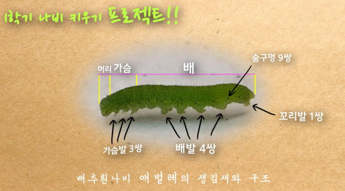 화성시 동화초등학교는 차별화된 학생 맞춤형 교육 콘텐츠를 통해 원격교육을 선도하고 있다. (사진=화성.오산교육지원청 제공)