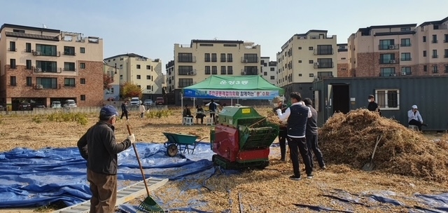 파주 운정3동 주민공동체 회원들이 콩수확을 하고 있다. (사진=파주시 제공)