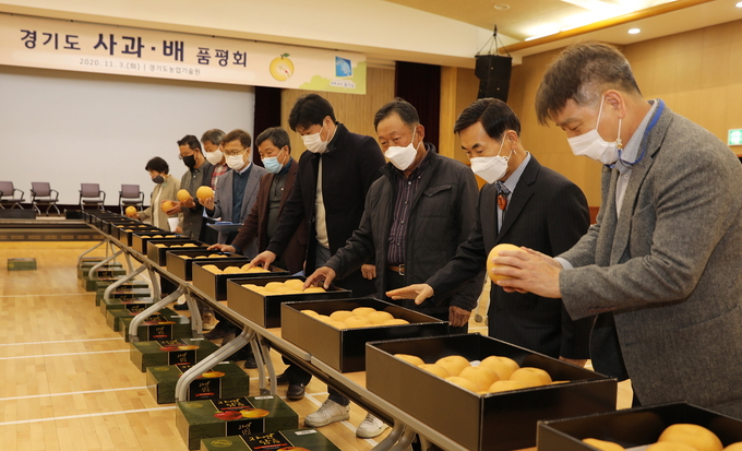 지난 3일 화성 농기원 농업과학교육관에서 열린 ‘2020 경기도 사과·배 품평회’에서 심사위원들이 출품된 배의 품질을 평가하고 있다. (사진=경기도농업기술원)
