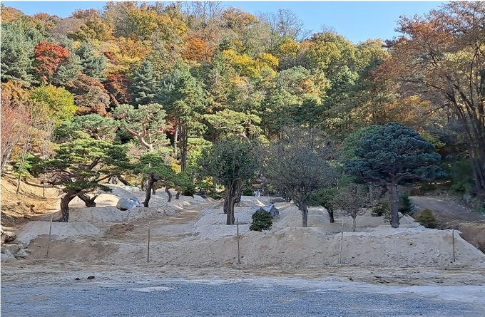 군포 홍종흔 베이커리가 개발제한구역에 토사를 매립하고 조경수를 심고 있다. (사진=장순철 기자)