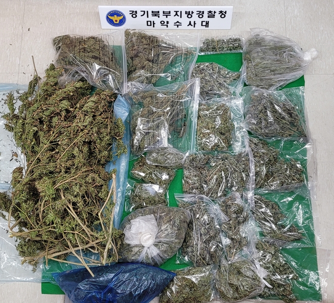 압수된 대마초 (사진=경기북부지방경찰청 제공)