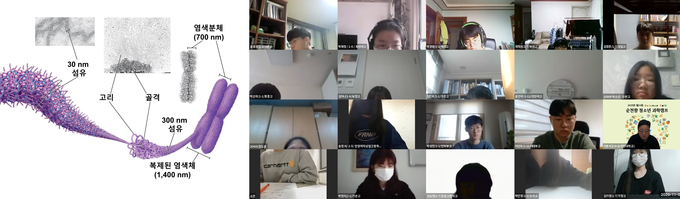 최근 순천향대 자연과학대학 주관으로 열린 "제24회 순천향 청소년과학캠프"에서 이용석 생명시스템학과 교수의 ‘생물정보학을 활용한 DNA분석’을 주제로 진행한 줌(Zoom)강의에서 전국에서 참가한 학생들에게 ‘실’과 같은 DNA가 연줄을 감는 얼레와 비슷한 단백질인 히스톤 단백질에 감겨져 있고, 히스톤 단백질에 단단하게 감겨져서 염색체를 이루는 모습을 학생들에게 설명하고 있다. (사진=순천향대 제공)