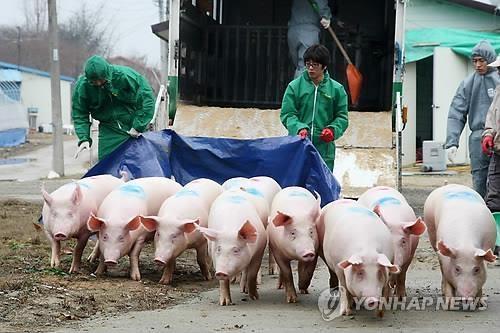 (사진=연합뉴스)