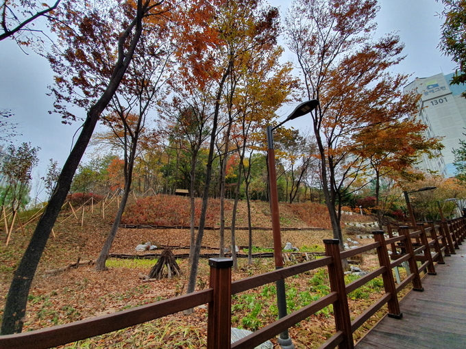 오산시의 수청동 문헌근린공원 생태복원사업이 제20회 자연환경대상’ 공모에서 최우수상(환경부장관상)을 수상했다. 사진은 Sanctuary형 기후변화 대응 숲. (사진=오산시 제공)