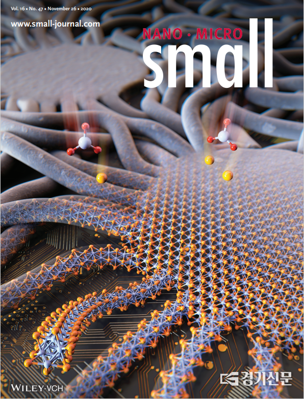 나노 분야 국제 학술지 <Small>의 11월 26일자 표지. (사진=아주대 제공)