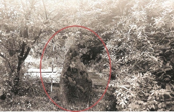 지난 2007년 경기도 박물관 발행‘경기도 고인돌’과‘의정부 시사’에 기재된 의정부시 녹양동 선돌마을의 아랫선돌 모습. (사진 = 문화재제자리찾기 제공)