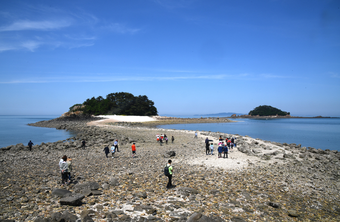 소야도 육계사주.