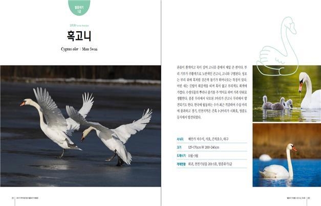 한강유역환경청은 한강하구 습지보호지역에서 서식 중인 멸종위기종에 대한 생태도감을 제작·배포하여 탐방객에 대한 생태교육 등에 활용할 예정이다.(사진=한강청제공)
