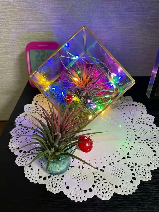 마음회복아카데미에서 전달된 위로 원예품. (사진=파주시 제공)