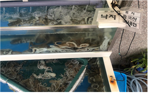 원산지가 혼동으로 표시돼 있다(사진=경기도 제공)