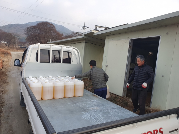 구충제를 지급하고 있는 모습(사진=경기도 제공)