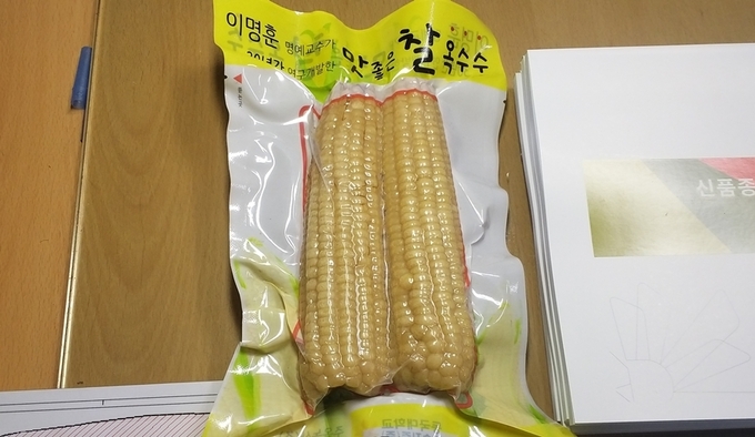 파주시가 관광상품으로 개발을 추진하고 있는 찰옥수수. (사진=파주시 제공)