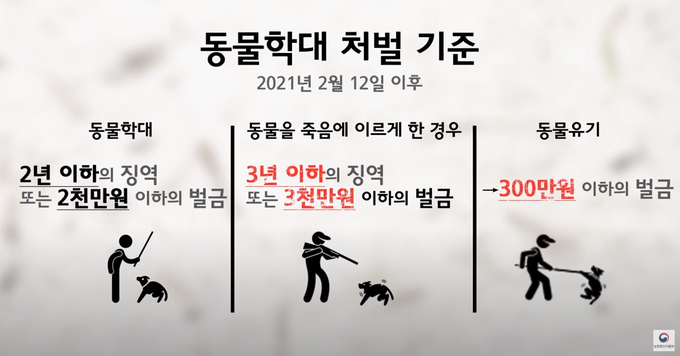 농림축산식품부 동물학대 방지 홍보영상 캡쳐. (자료=농림축산식품부 제공)