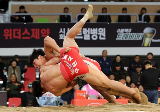 11일 경남 합천군 합천체육관에서 열린 2021 설날장사씨름대회에서 문준석(수원시청씨름단)이 허선행(영암군민속씨름단)에게 2-3으로 패하며 아쉽게 태백장사 등극에 실패했다. 사진은 지난 2019년 11월에 펼쳐진 문준석과 허선행 경기 모습 (사진=연합뉴스 제공)