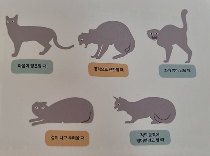 감정에 따라 나타나는 고양이의 행동 (사진=‘24시간 고양이 육아 대백과’ 발췌)