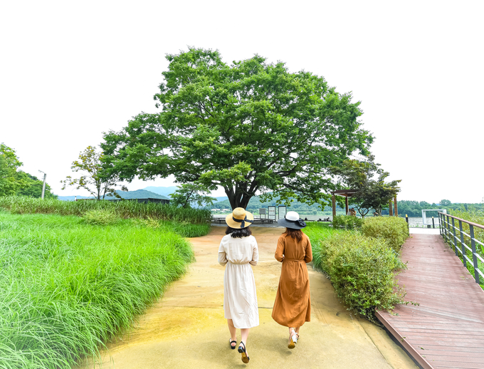 팔당호반 수청나루 길.