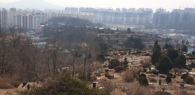 김포공원묘지 상단부에서 내려다보이는 묘지와 대단지 아파트가 한눈에 들어오고 있다.(사진=천용남 기자)
