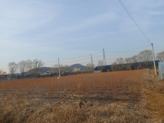 LH 직원 4명이 공동 소유하고 있는 시흥시 과림동 답지 일대 (사진=편지수 기자)