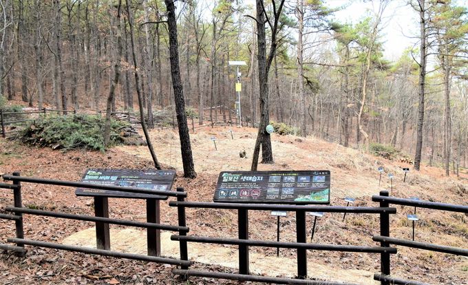 야생동물 보호구역으로 지정된 칠보산 생태습지. (사진=수원시 제공)