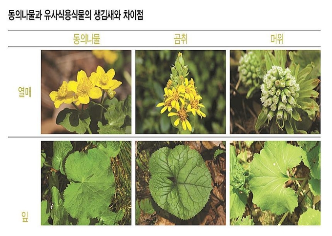 (사진=연합뉴스)