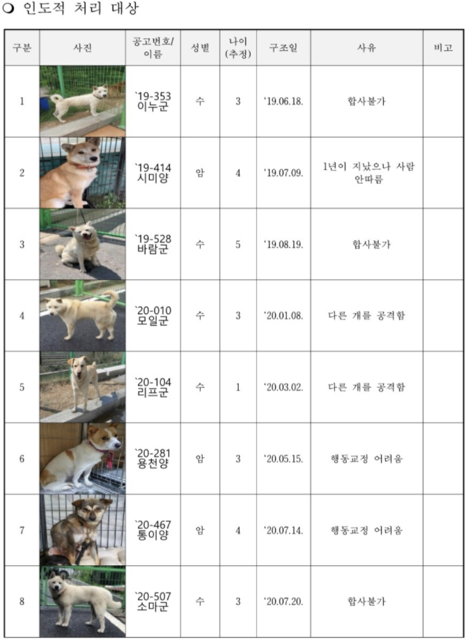 안락사를 앞둔 용인시유기동물보호센터의 유기견들 (사진=용인시동물보호협회 제공)