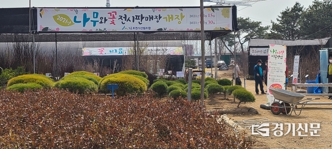 포천시 산림조합에서 운영 중인 나무시장 입구 (사진=문석완 기자)