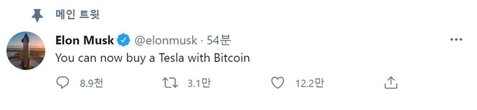 일론 머스크 트위터 캡처 화면