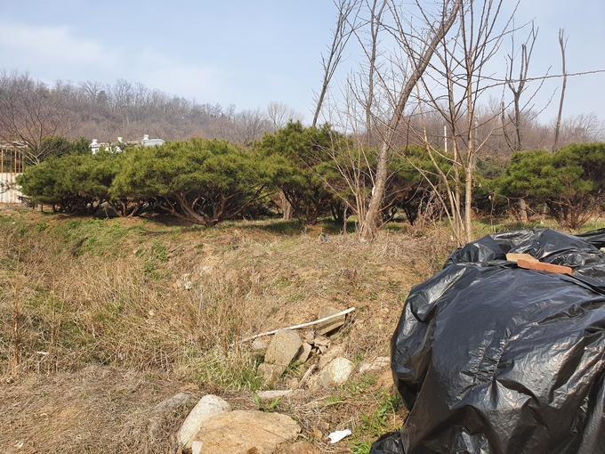 토지주 A씨가 소유하고 있는 토지의 일부. (사진=김용권 기자)