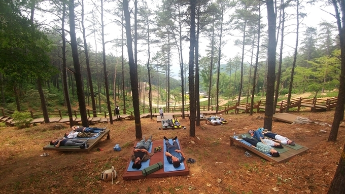 파주 율곡수목원의 산림치유 수업모습. (사진=파주시 제공)