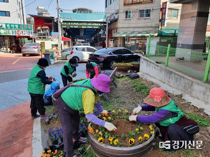 평택시 안중읍 새마을부녀회 20여 명은 안중 시내 곳곳에 총 2천500여 본의 봄꽃을 식재하는 봉사활동을 펼치고 있다.(사진=평택시 제공)