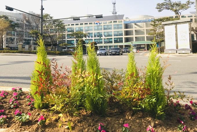 시흥시는 봄을 맞아 화사한 경관을 조성하기 위해 도로변을 따라 다양한 봄꽃을 식재했다.(사진=시흥시 제공)