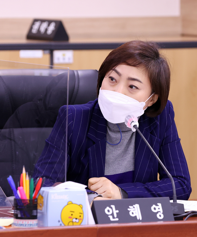 경기도의회 안혜영 의원