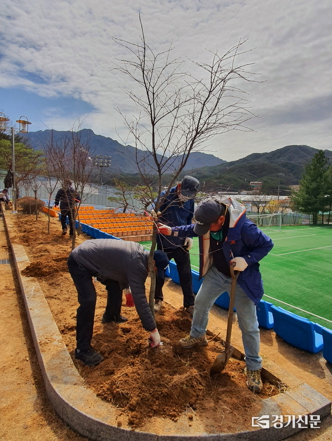 화현면 이장협의회 회원들이 단풍나무를 심고 있다. (사진=포천시 제공)