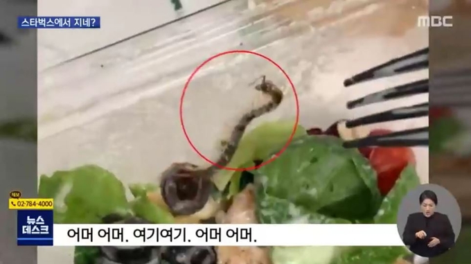 (사진=MBC 뉴스데스크 보도 화면 캡처)