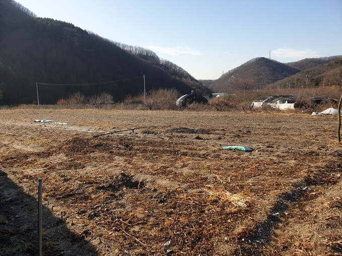 군포도시농부학교 야외 실습체험장.