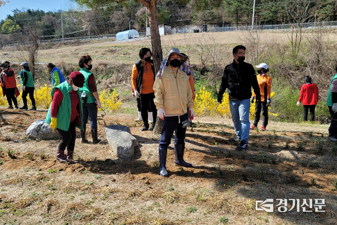 포천시의회 송상국 부의장이 식목 행사 도중 잠시 허리를 펴고 있다. (사진=포천시 의회 제공)