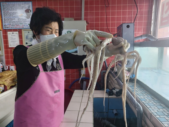 박영숙 대표가 낙지전골에 쓰이는 낙지를 직접 들어올려 보이고 있다. (사진=편지수 기자)