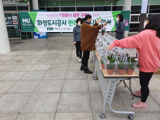 화성도시공사가 코로나19로 지친 시민들에게 봄꽃을 선믈하는 ‘반려식물 나눔행사’를 펼쳐 호응을 얻었다. (사진=화성도시공사 제공)