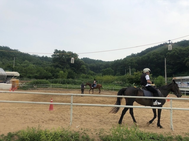 시흥시 학생승마체험(사진=시흥시 제공)