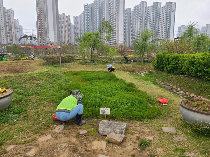 시흥시 신선농작물 푸드뱅크 지원.(사진=시흥시 제공)