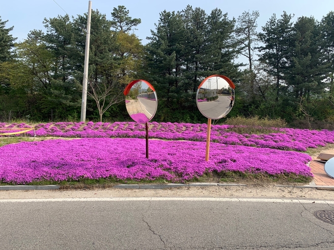 고읍신도시에 설치된 도로반사경 모습. (사진=양주시 제공)
